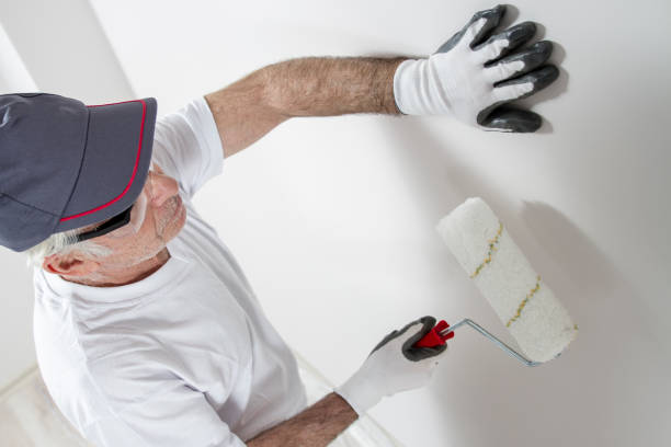 Best Industrial Mold Remediation  in Benton Harbor, MI