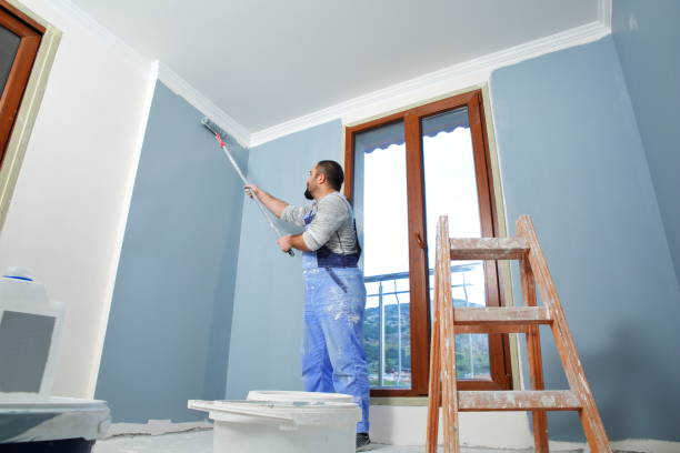 Mold Odor Removal Services in Benton Harbor, MI
