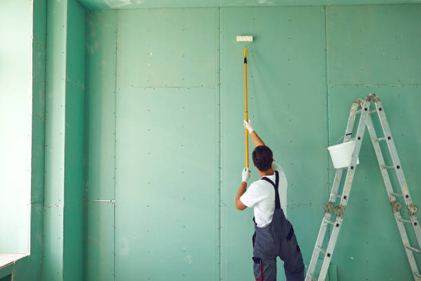 Best Commercial Mold Inspection  in Benton Harbor, MI