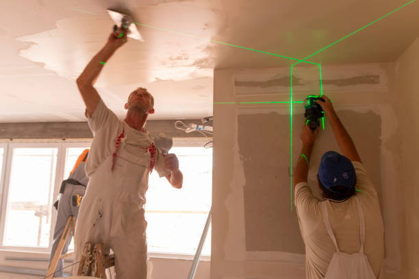 Best Commercial Mold Inspection  in Benton Harbor, MI