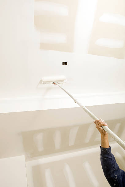 Best Mold Prevention Services  in Benton Harbor, MI
