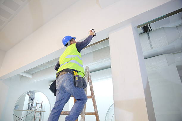 Best Environmental Consulting for Mold Prevention  in Benton Harbor, MI