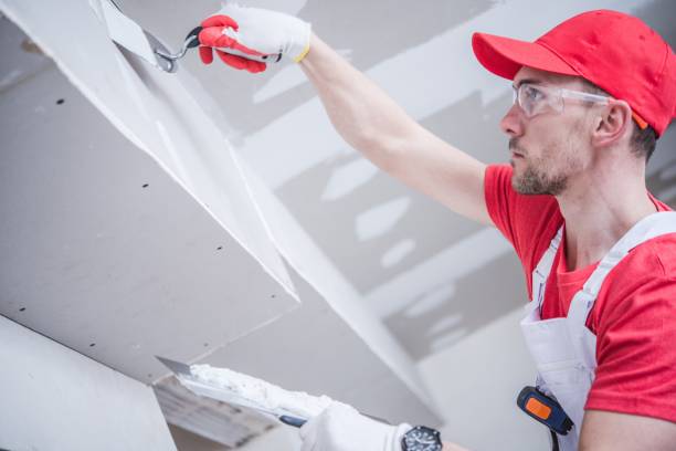 Best Mold Odor Removal Services  in Benton Harbor, MI